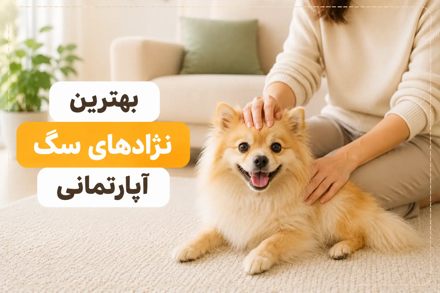بهترین نژادهای سگ آپارتمانی