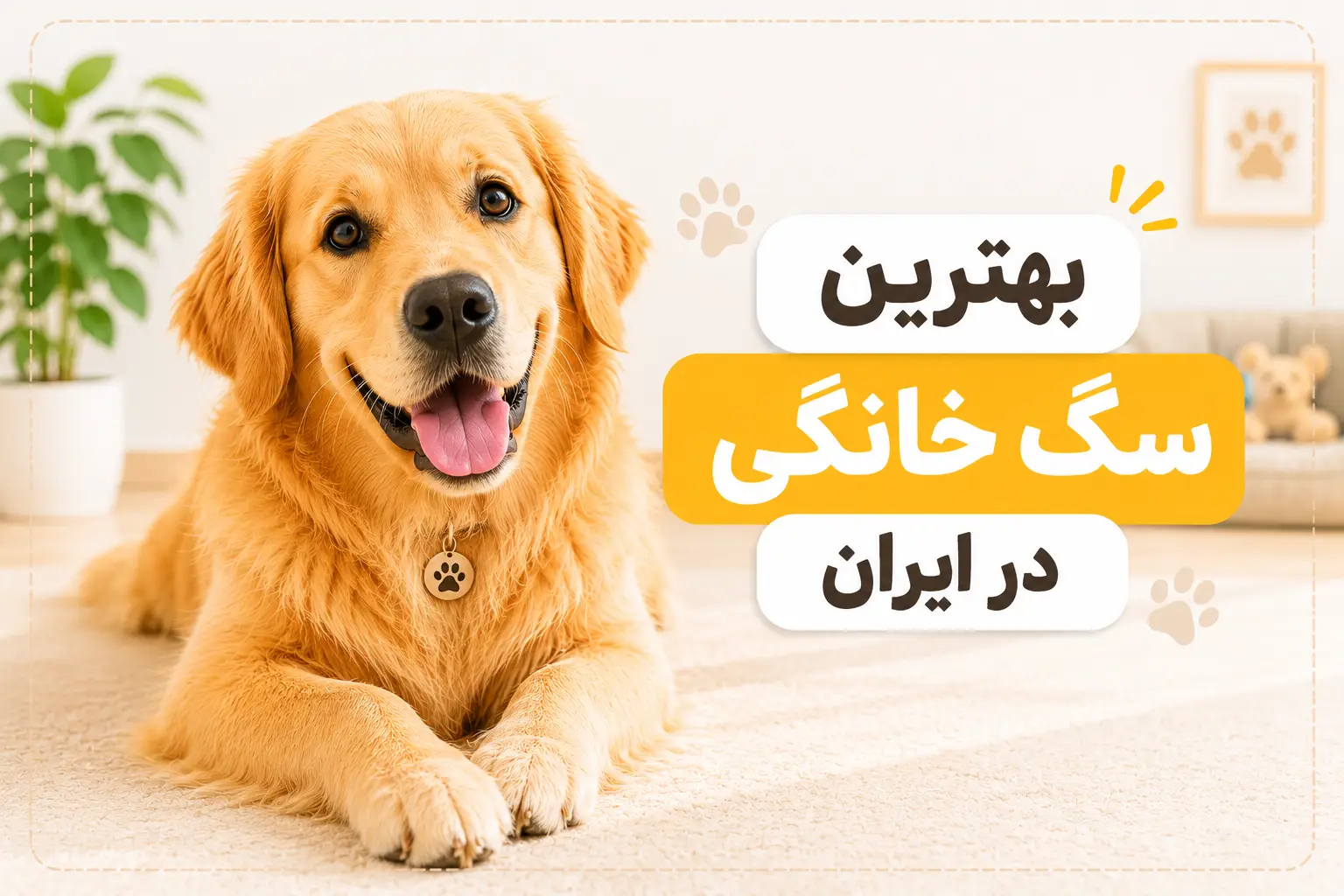 بهترین سگ خانگی در ایران