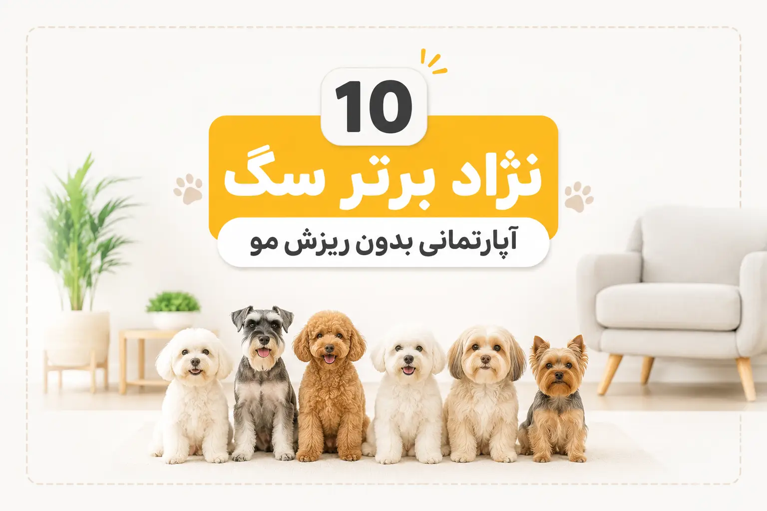 10 نژاد برتر سگ آپارتمانی