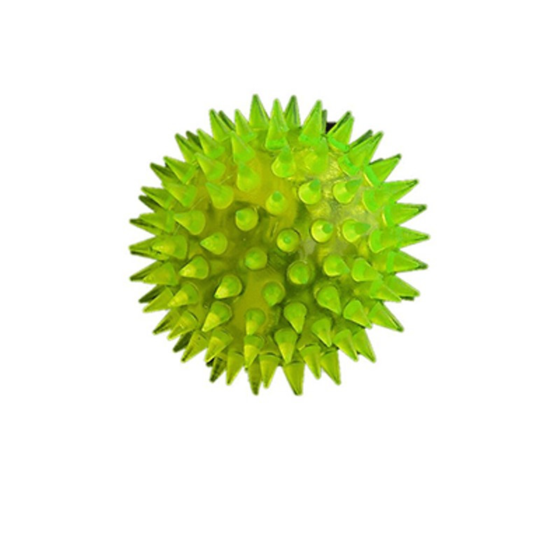 توپ بازی سگ و گربه