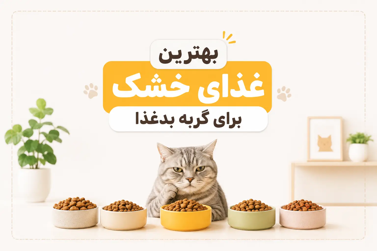 بهترین غذای خشک برای گربه بدغذا