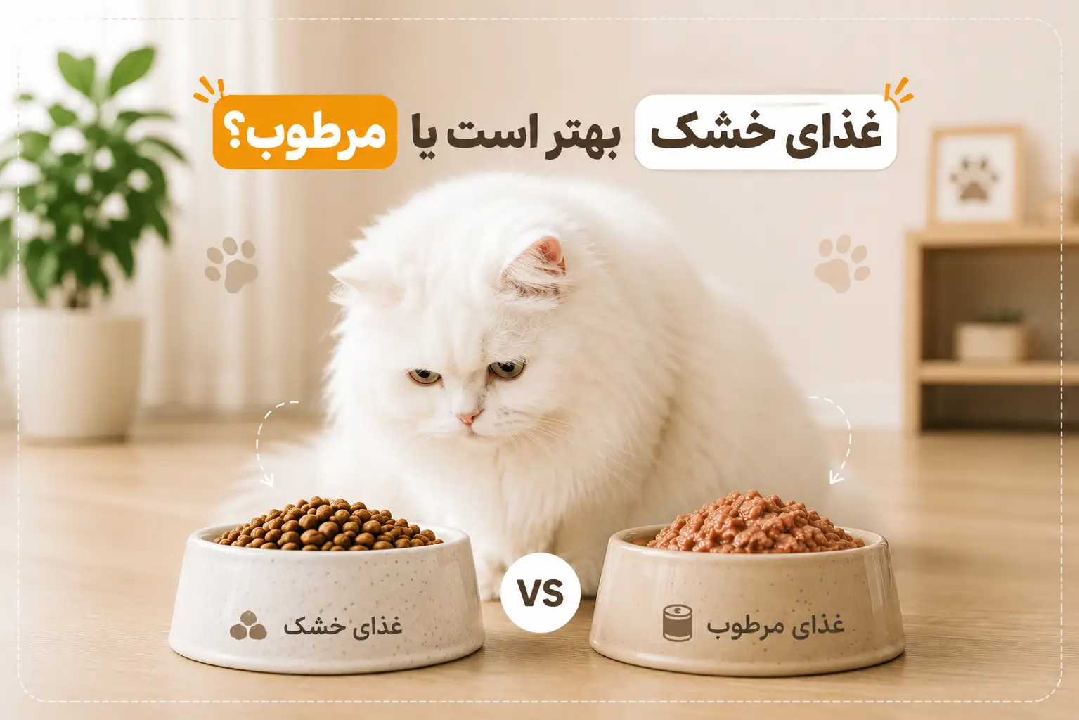 غذای خشک بهتر است یا مرطوب؟