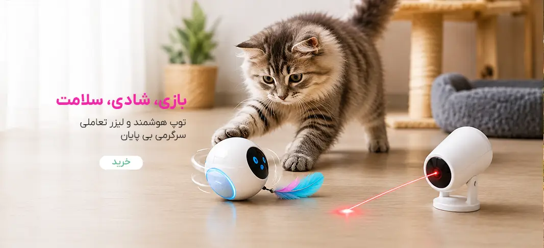 اسباب بازی هوشمند گربه
