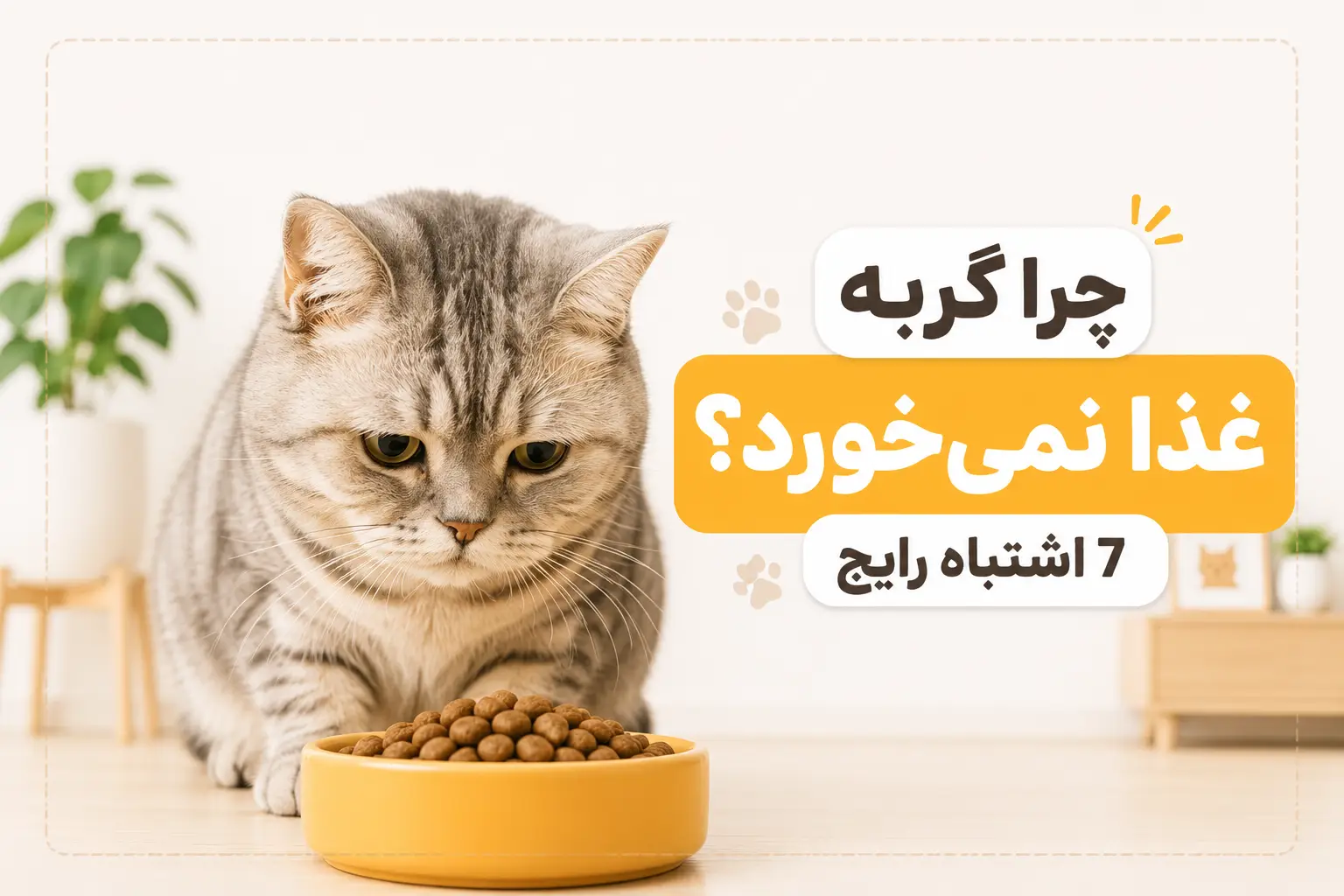 چرا گربه غذا نمی‌خورد؟ ۷ اشتباه رایج